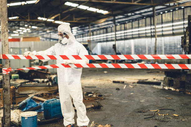 Professional Odor Removal technician working in Lilliwaup, WA